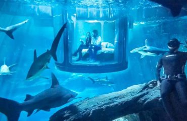 Aquariums-Dubai-Mall